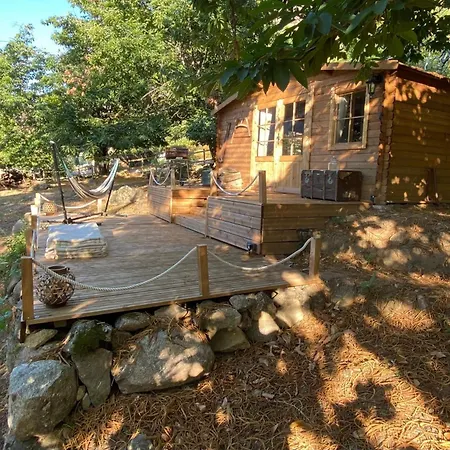 Apartman Chalet Studio *